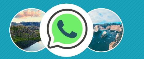 Comparative Analysis: Fouad WhatsApp vs. Telegram Features