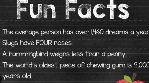 What's a Good Fun Fact of the Day for Work?